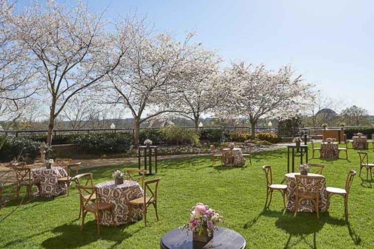 Garden banquet